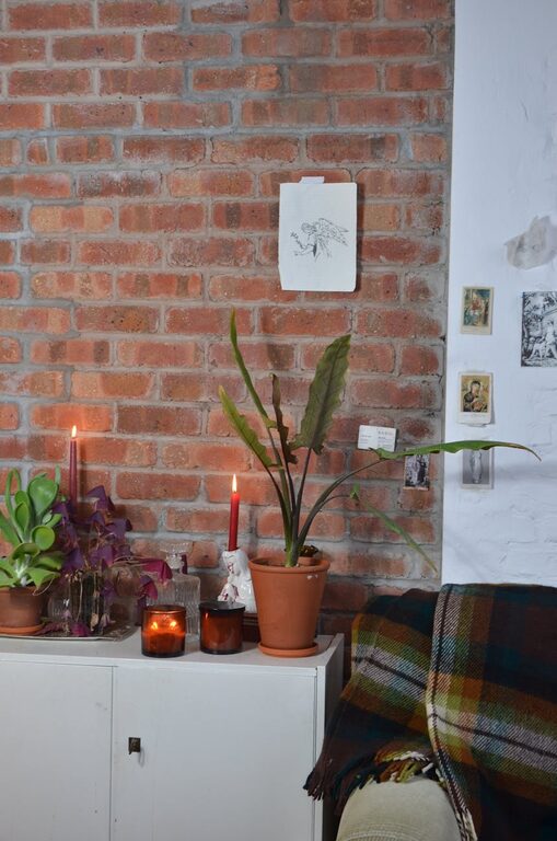 Simple Ways to Create a Cozy Atmosphere in Your Home All Year Round